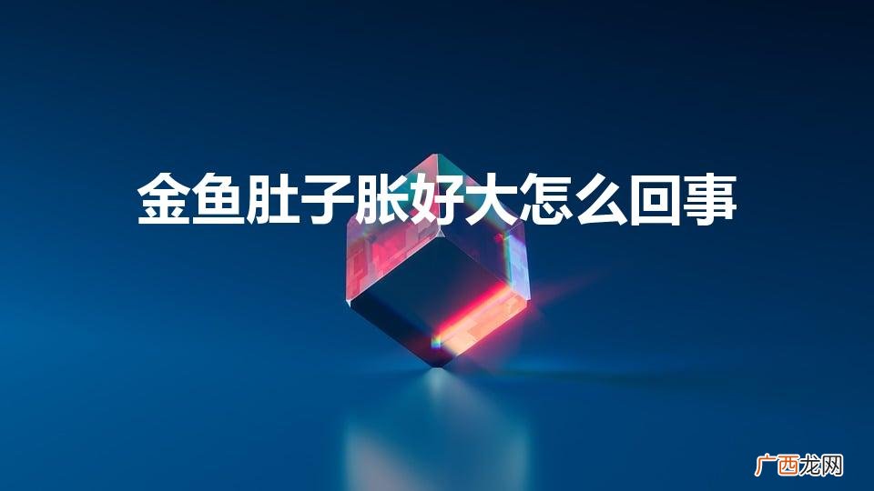 金鱼肚子大了怎么回事 金鱼肚子胀好大怎么回事