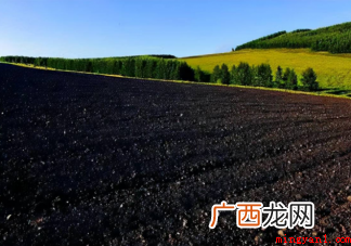 黑土是因为土壤中含有充分的腐殖质所以黑吗