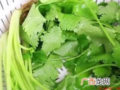 香菜怎么切的具体操作步骤 香菜怎么切