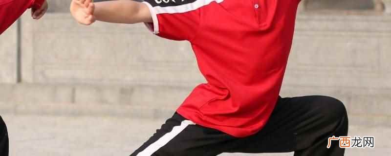 职业武术张林的身高是172cm 张林职业武术身高