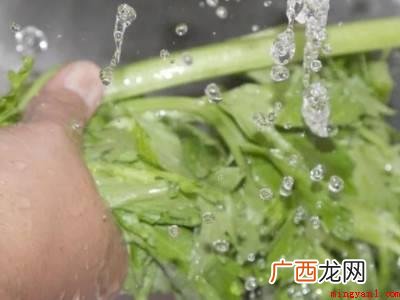 芹菜怎么洗的具体操作步骤 芹菜怎么洗