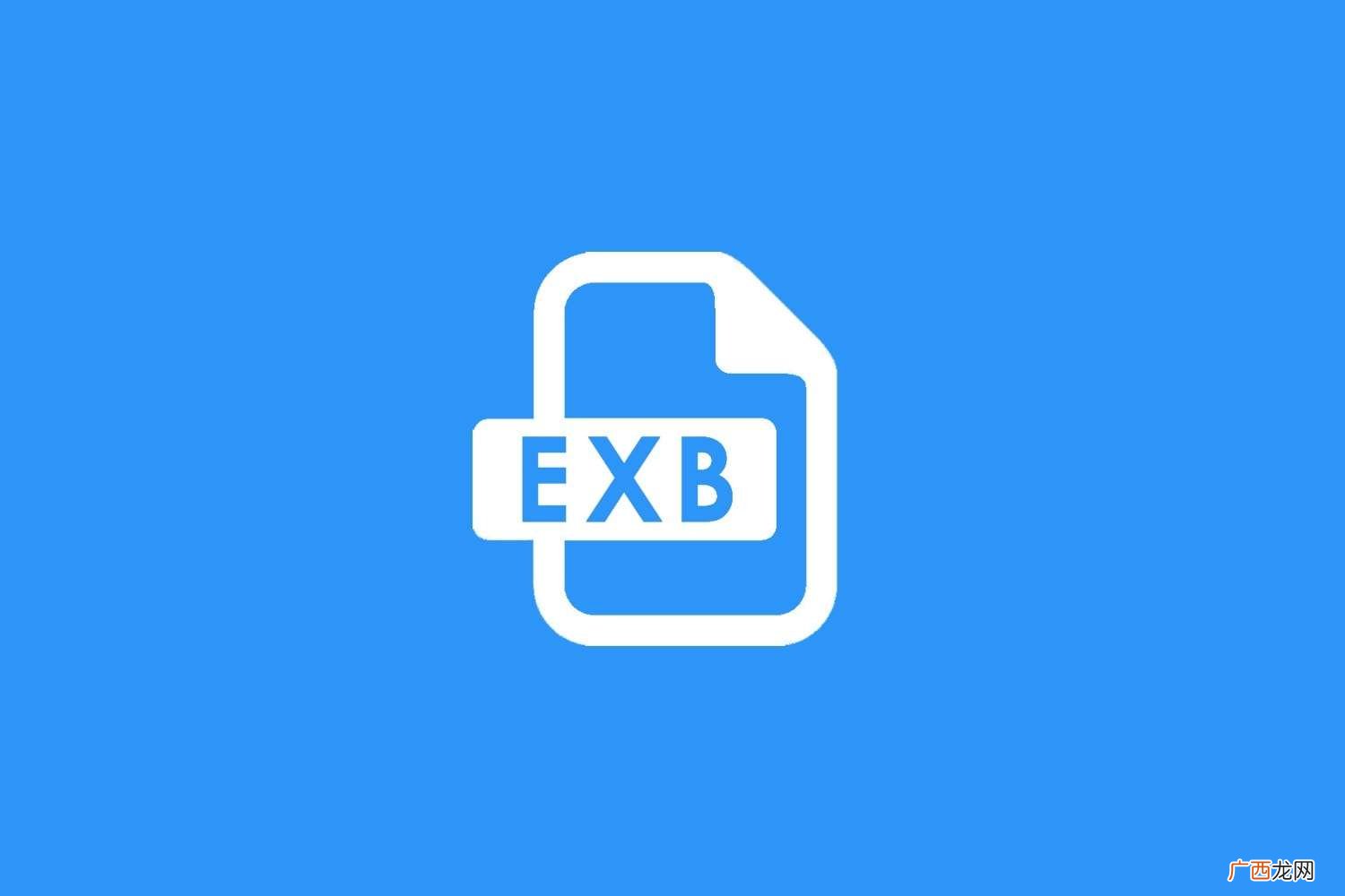 exb是什么文件格式