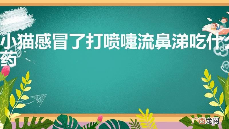 猫咪感冒流鼻涕吃什么药 小猫感冒了打喷嚏流鼻涕吃什么药