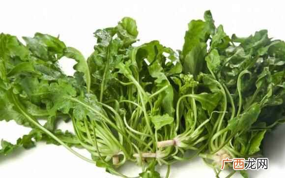 荠菜是地菜吗