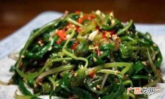 清明菜可以凉拌吗
