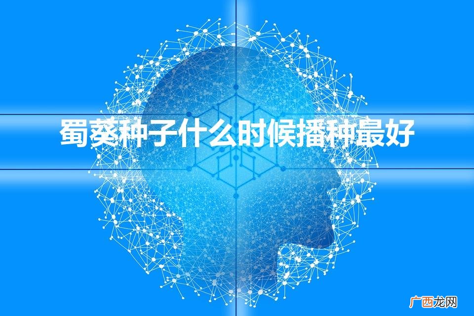 蜀葵种子什么时候播种最好（蜀葵)
