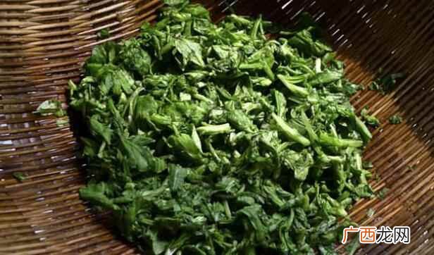 清明菜怎么晒干