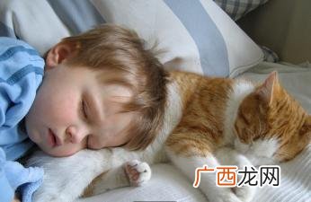 猫跟人一起睡的5个原因，跟猫一起睡觉好不好 猫和人一起睡的危害