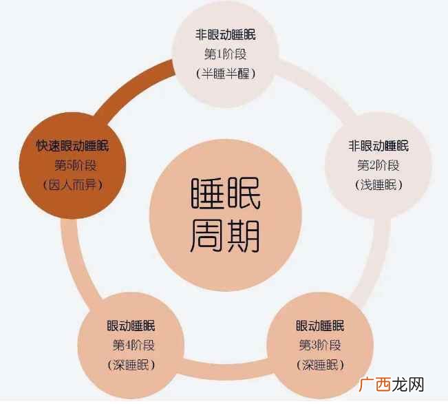 睡眠周期每个阶段多长时间