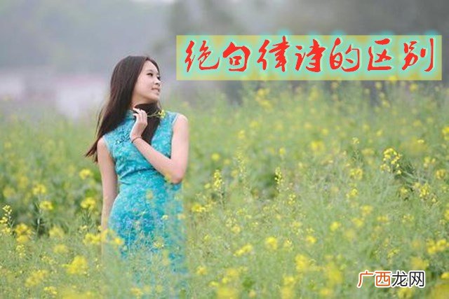律诗和绝句的不同和特点 如何区分律诗和绝句的区别