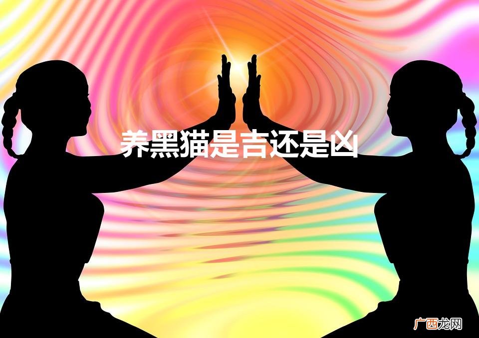 养黑猫是吉还是凶(养黑狗对家里风水怎么样)