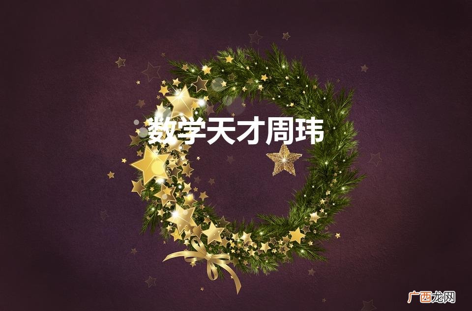 数学天才周玮的如今现状 数学天才周玮