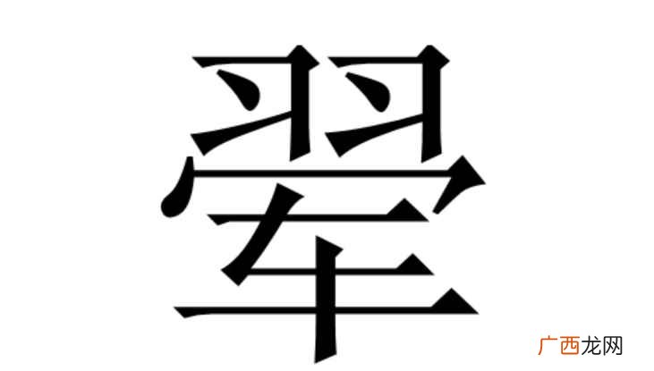 翚怎么读