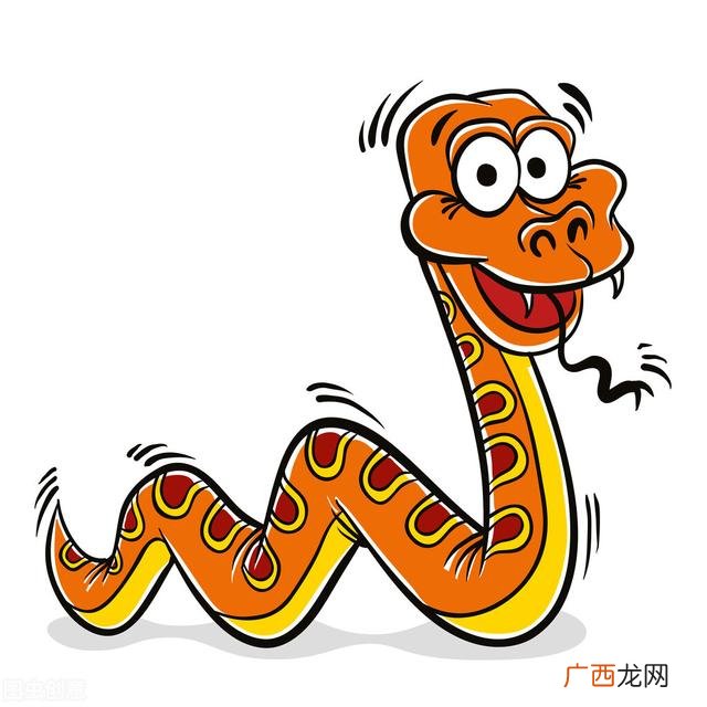 惹了生肖蛇有什么严重后果 生肖蛇性格好不好