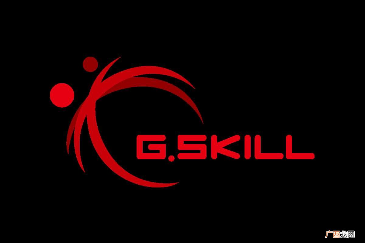 G G.Skill是什么