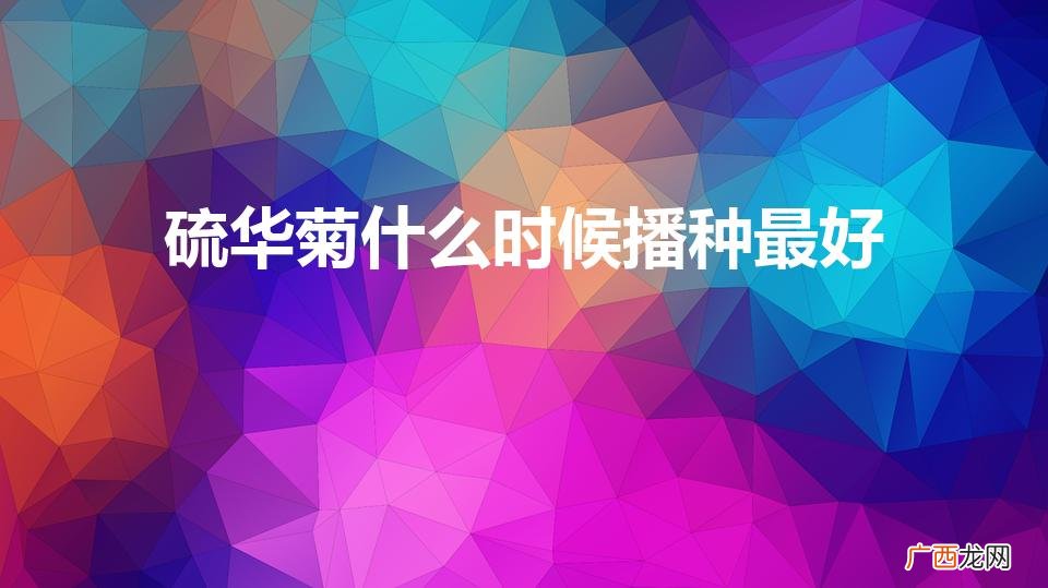 硫华菊的播种季节是什么时候 硫华菊什么时候播种最好