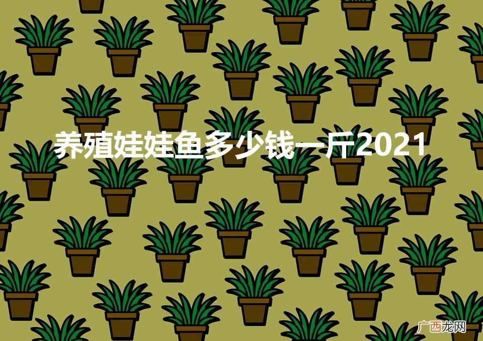 娃娃鱼2021价格 养殖娃娃鱼多少钱一斤2021