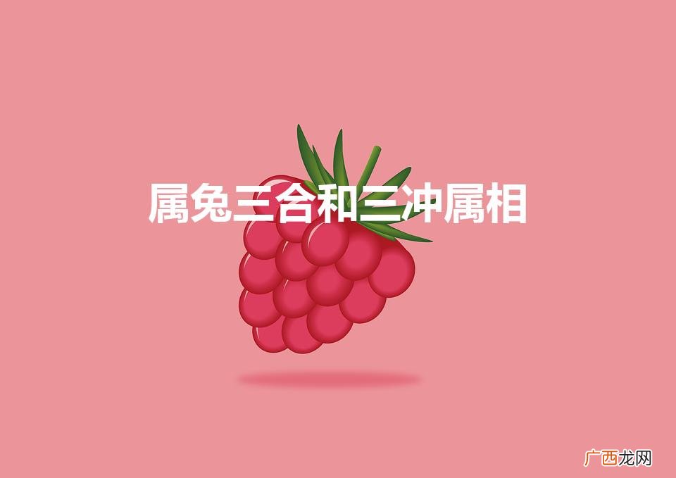 属兔三冲属相 属兔三合和三冲属相