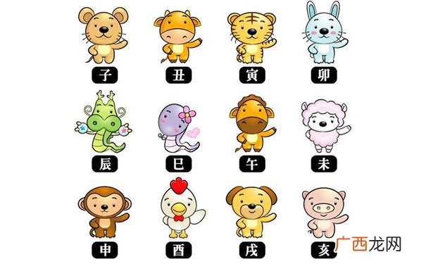 十二生肖婚姻配对大全表 最佳婚配属相大全