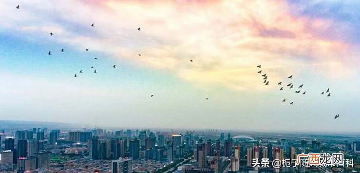 陕西渭南市管辖的区县介绍 渭南市有几个区几个县