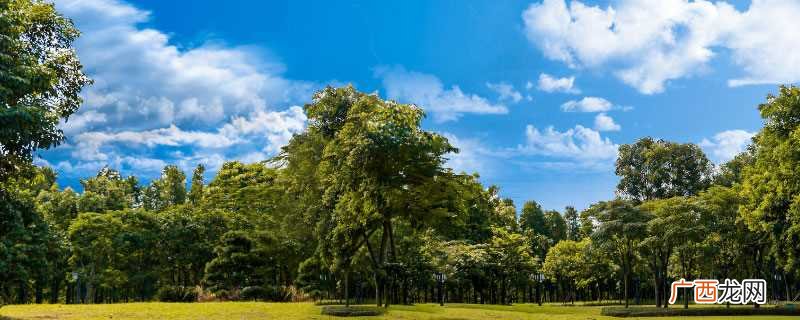 广州白云山多高