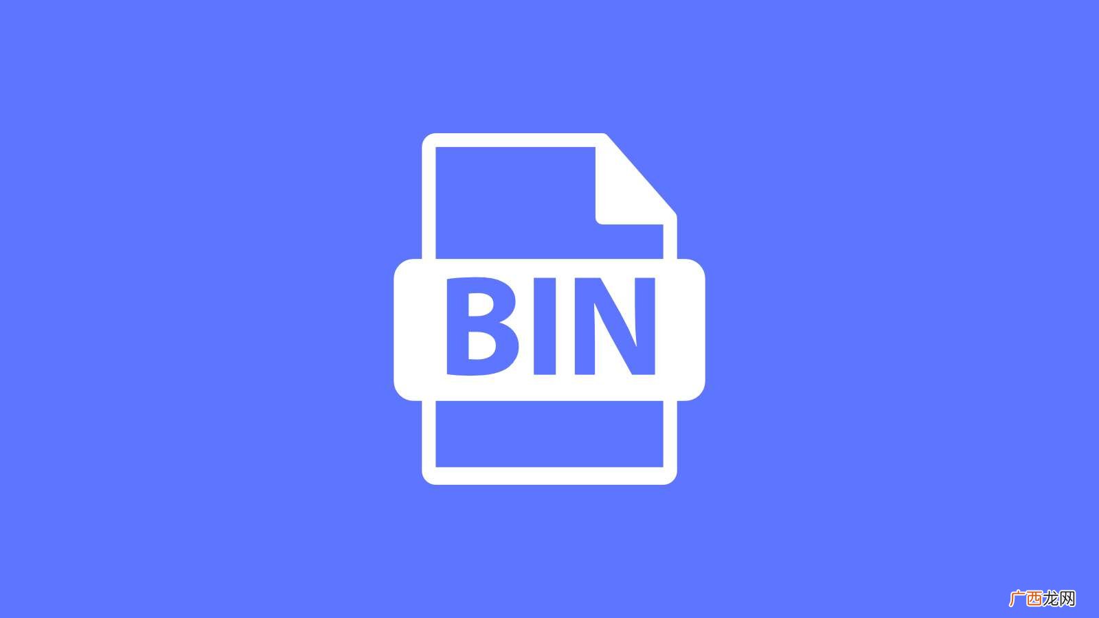 bin是什么意思