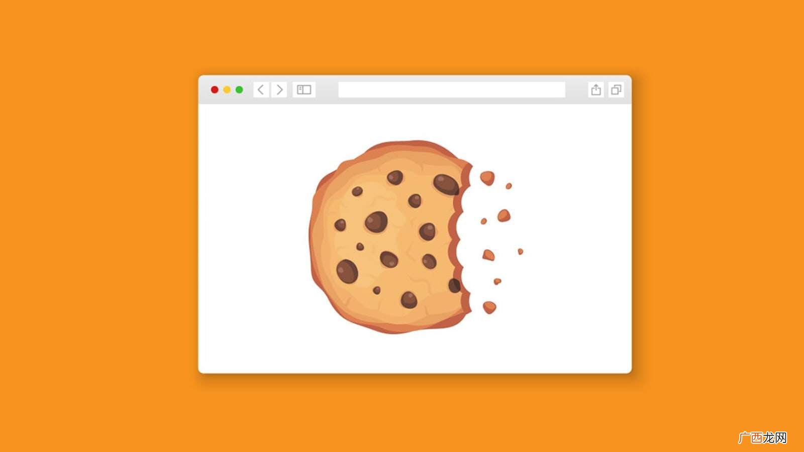 如何启用浏览器cookie功能