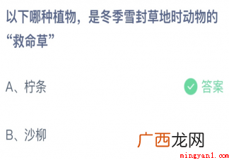 哪种植物是冬季封草地时动物的救命草 以下哪种植物是冬季封草地时动物的救命草