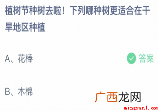 下列哪种树更适合在干旱地区种植