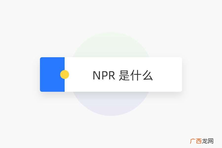 NPR 是什么