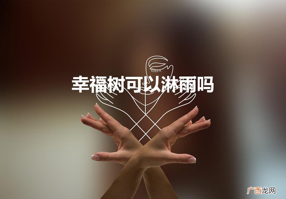 幸福树可以淋雨吗(幸福树能淋雨吗可以晒太阳吗)