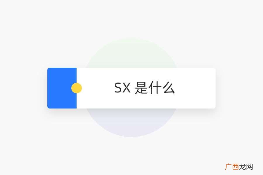 SX 是什么