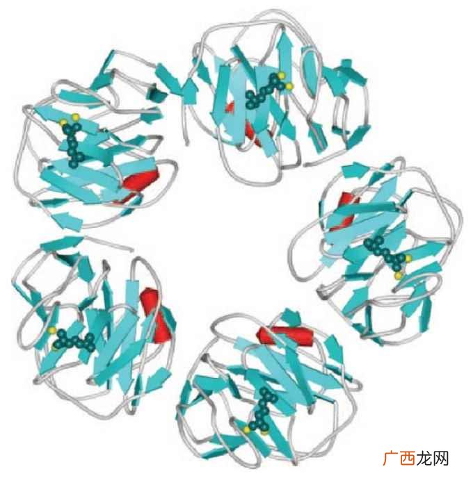 CRP可用于细菌和病毒感染的鉴别诊断 c反应蛋白高说明什么
