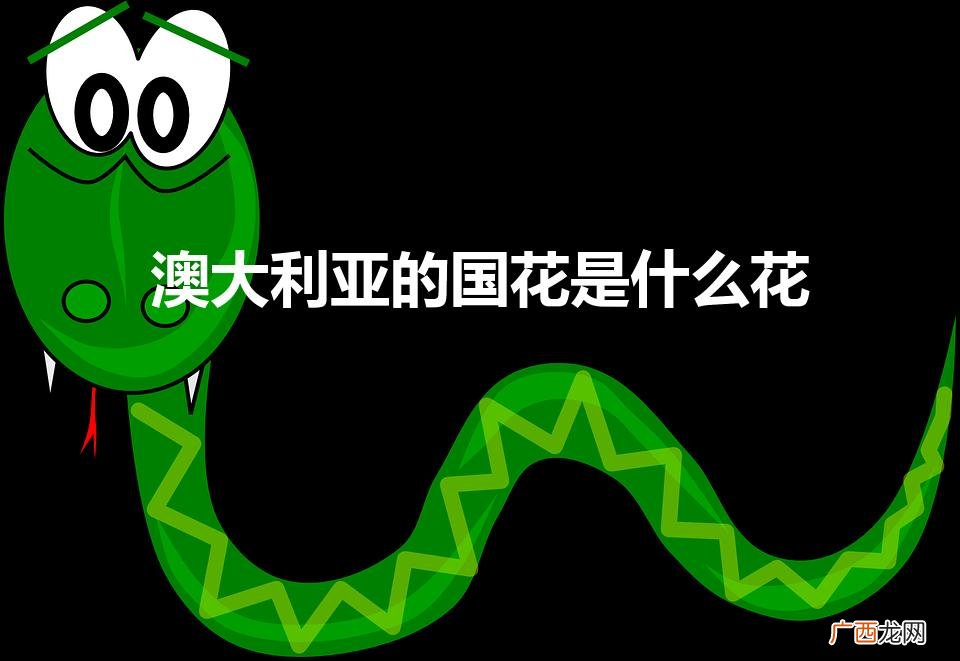 澳大利亚的国花是什么 澳大利亚的国花是什么花