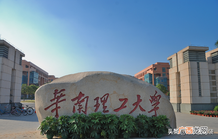 华南理工大学各学院保研人数汇总 华南理工大学保研率