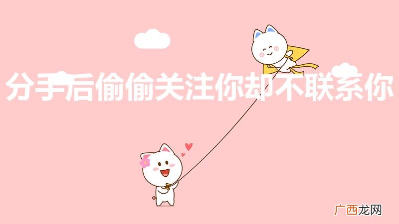分手后偷偷关注却不联系你 分手后偷偷关注你却不联系你