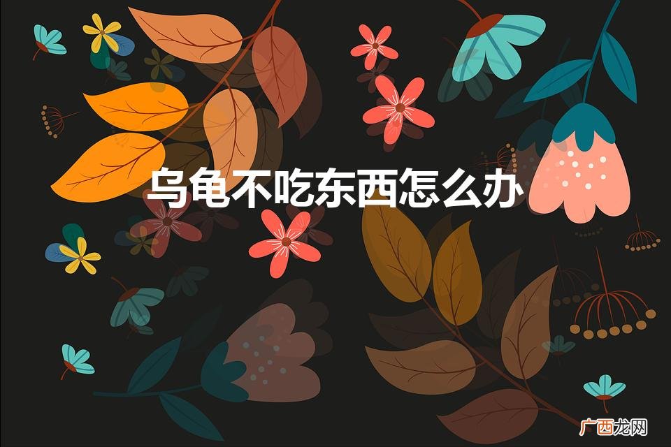 乌龟好几天不吃东西怎么办 乌龟不吃东西怎么办