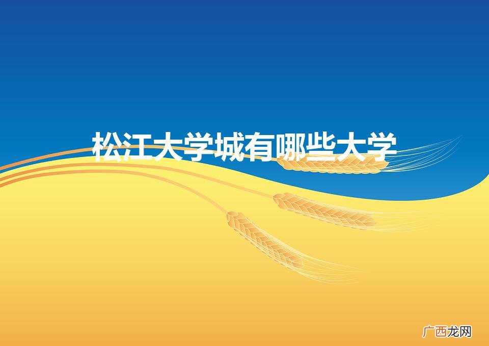 松江大学城有哪些大学是211 松江大学城有哪些大学