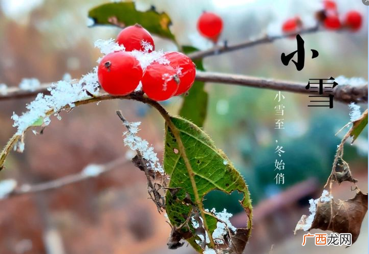 “小雪封地还是大雪封地”，何意？小雪对大雪有何影响
