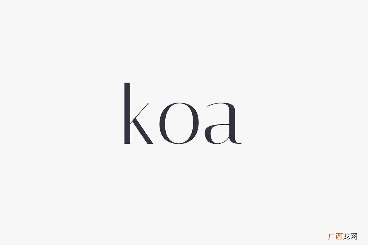 Koa是什么