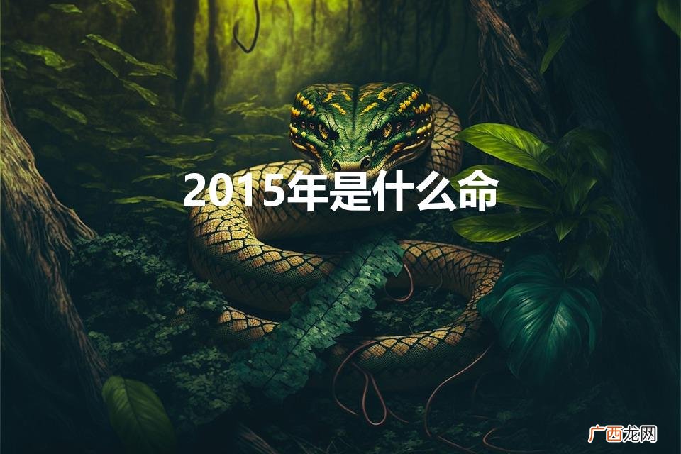 2015年出生的人是什么命 2015年是什么命