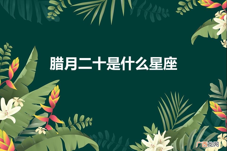 阴历腊月二十是什么星座 腊月二十是什么星座
