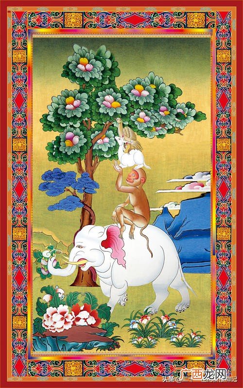 兔子的始祖是哪种兔子生活在哪里 兔子的祖先是谁