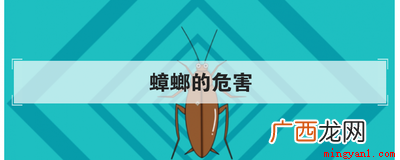 蟑螂的危害有哪些 蟑螂的危害