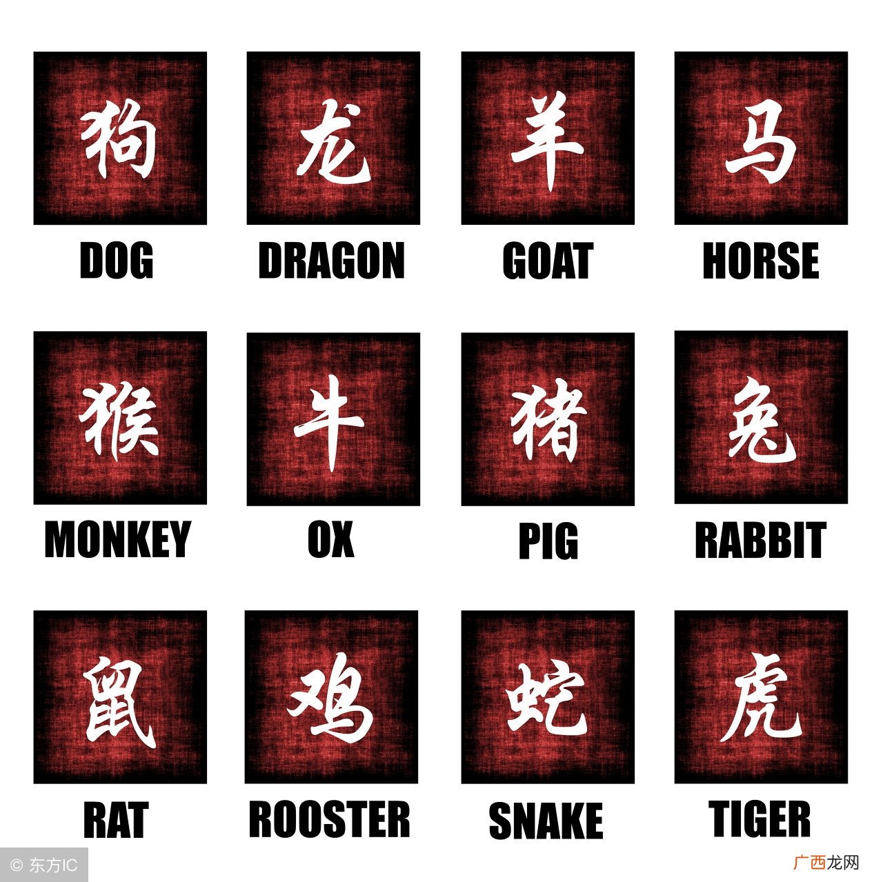 十二生肖今日运势 属猴的人今日运势及运程