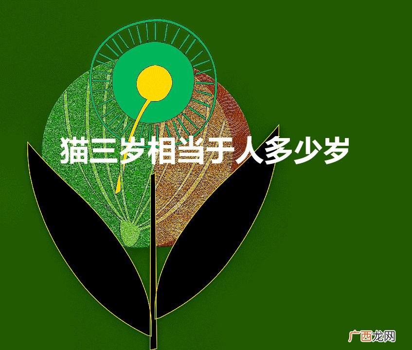 猫三岁相当于人多少岁（猫咪年龄对照表)