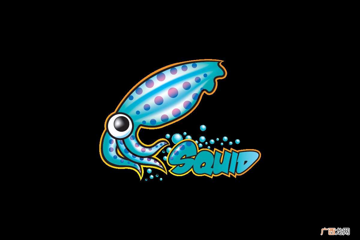Squid 是什么