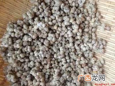 西瓜黄豆酱的制作方法和配方