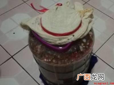 西瓜黄豆酱的制作方法和配方