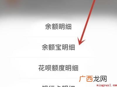 演示机型:Iphone 12 支付宝怎么查所有明细